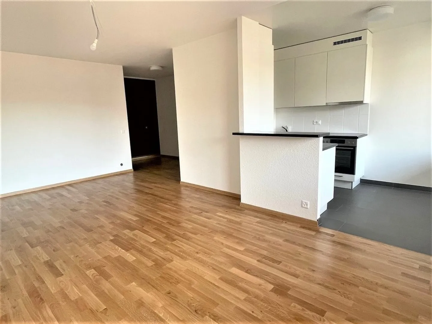 Giunzione - Vicino al quartiere bancario e al Rodano - Foto 4 di 10