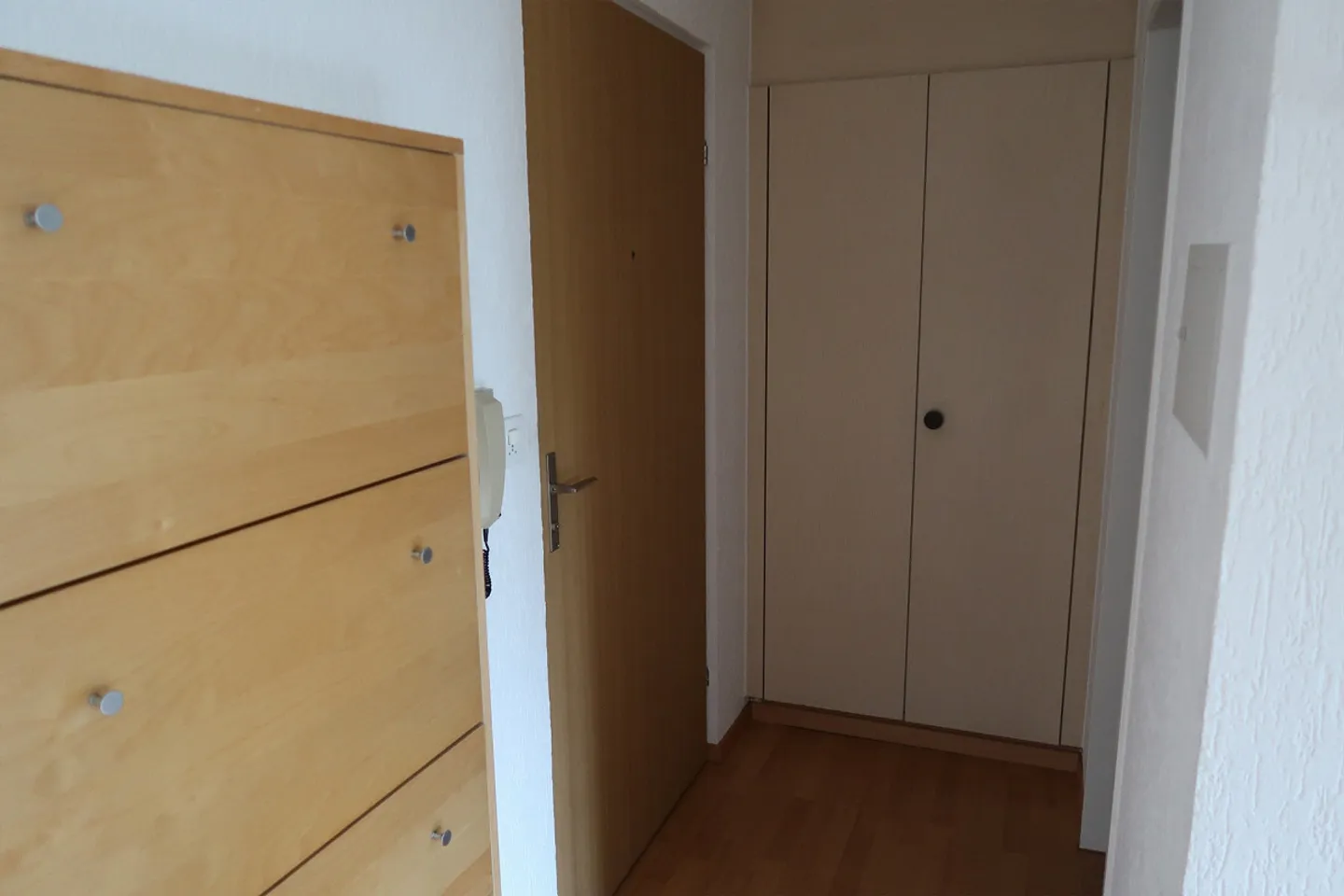 Rural yet centrally located apartment with a view of the Säntis - Photo 7 of 8