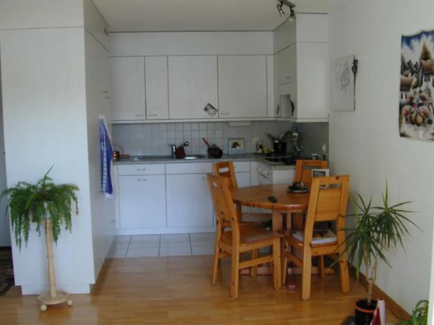 Sunny, beautiful 2 1/2 room apartment - Photo 1 of 7