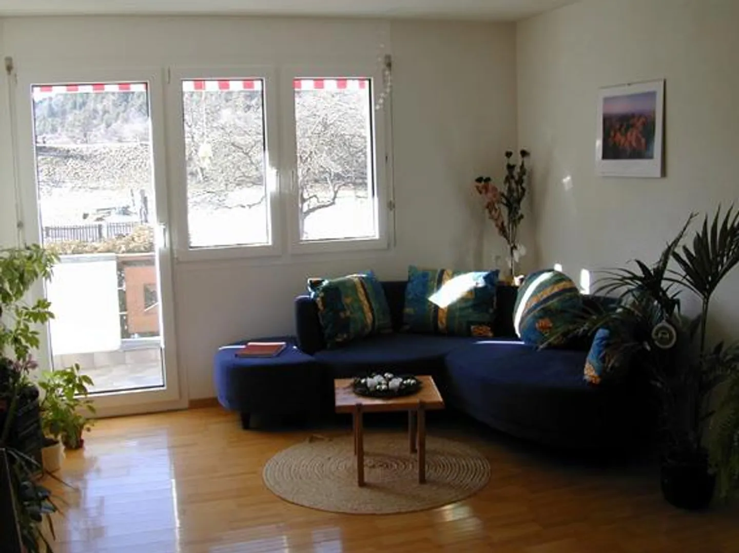 Sunny, beautiful 2 1/2 room apartment - Photo 2 of 7