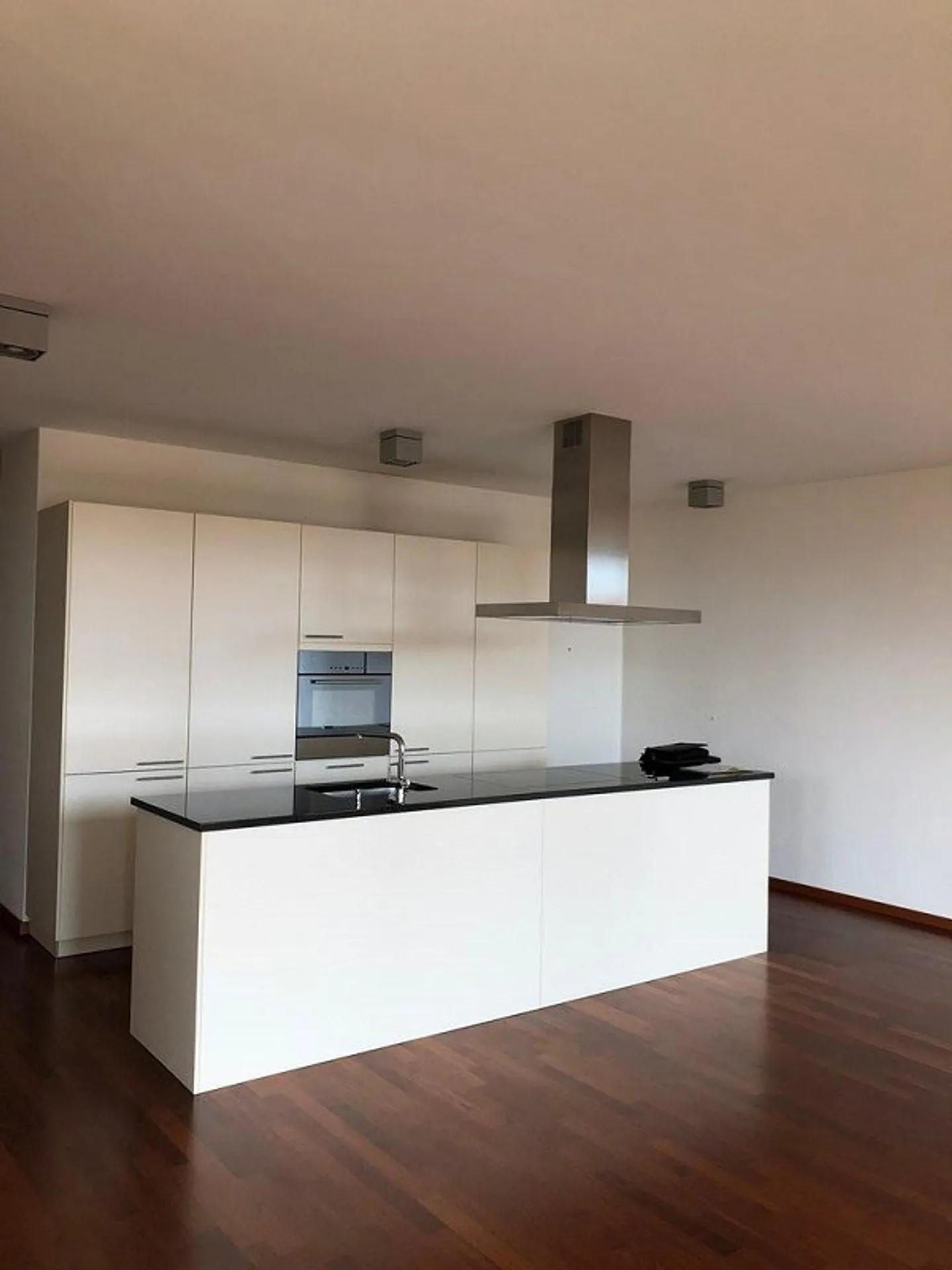 Above the rooftops of Zurich - at the foot of Üetliberg - Photo 2 of 9