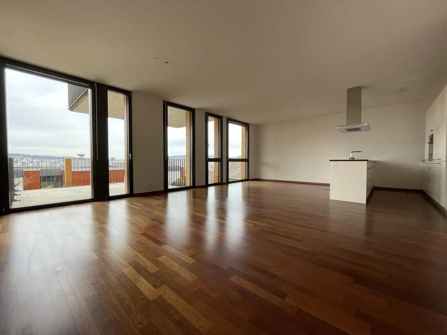 Above the rooftops of Zurich - at the foot of Üetliberg - Photo 5 of 9