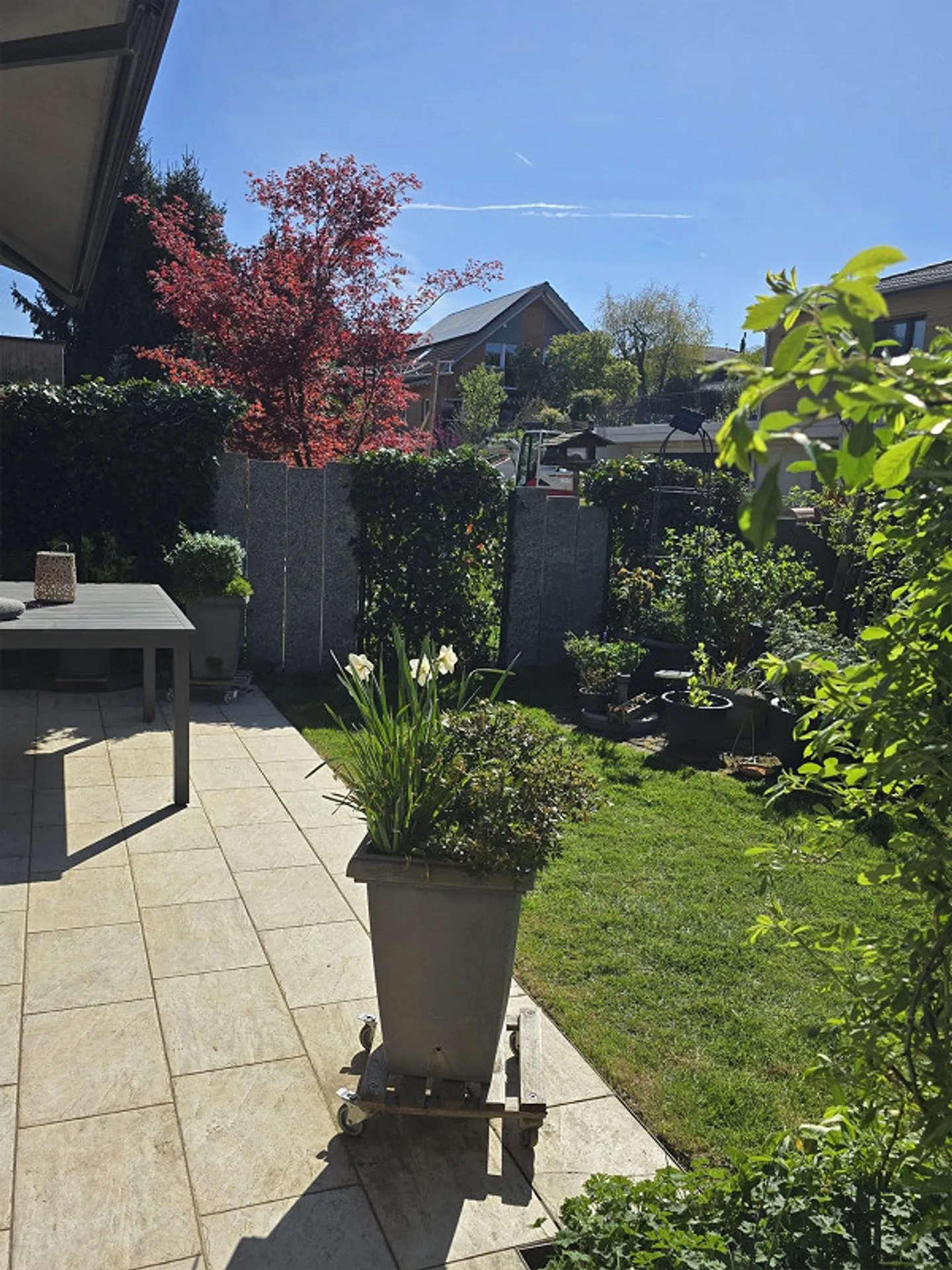 4 1/2 Room Single Family House in Preferred Location - Photo 3 of 14