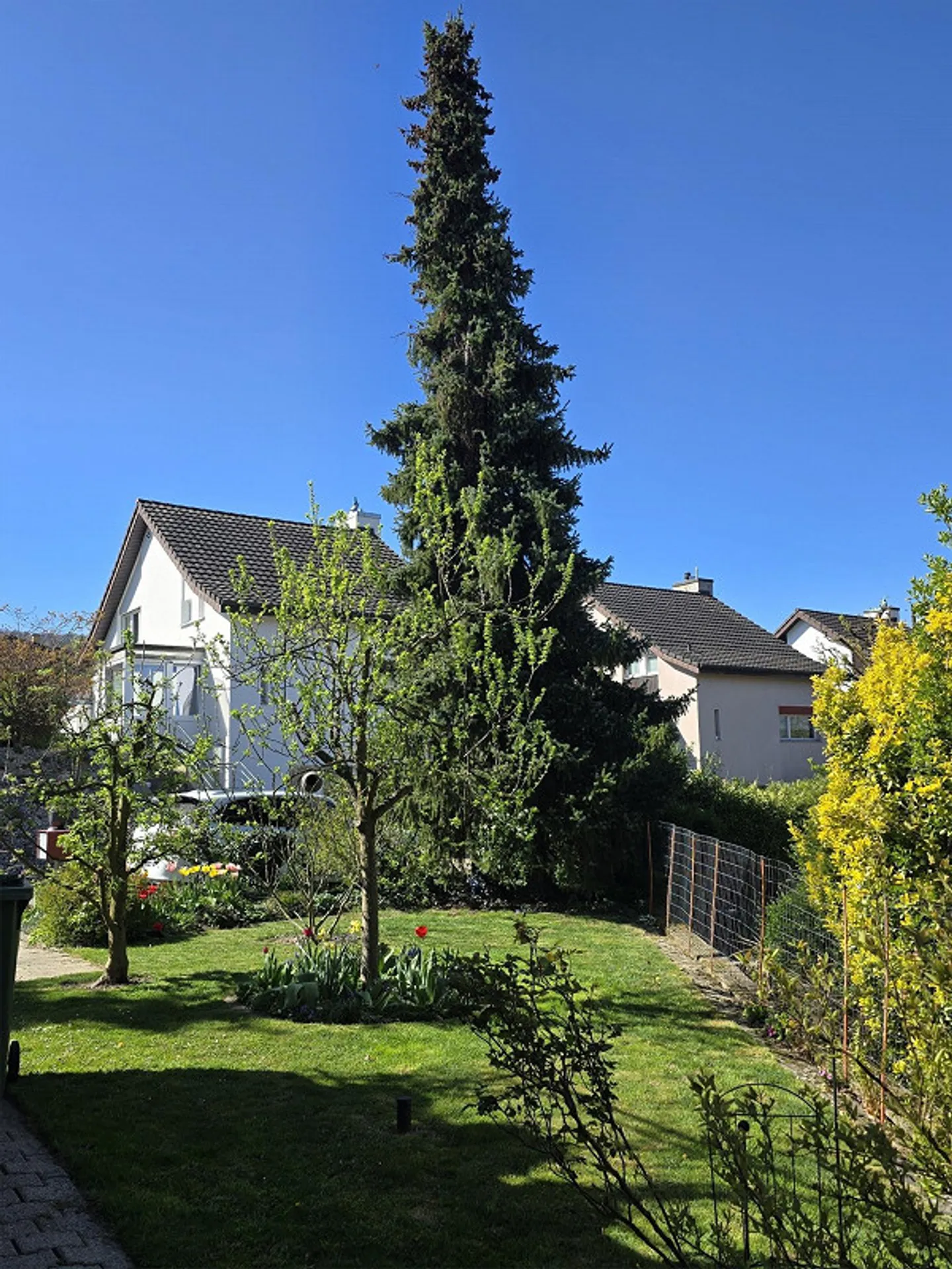 4 1/2 Room Single Family House in Preferred Location - Photo 4 of 14