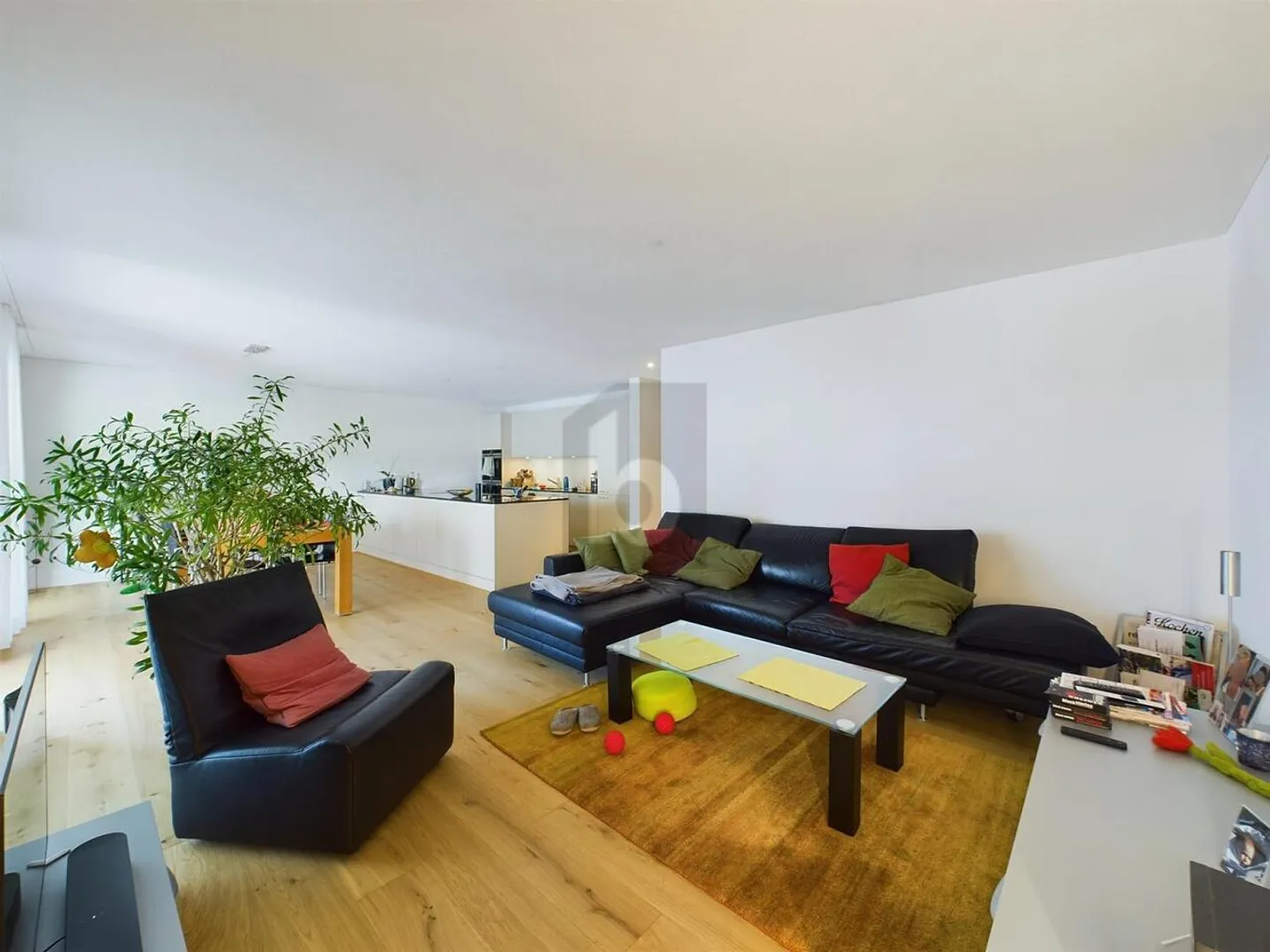 Modern Apartment with Open Kitchen - Photo 2 of 6