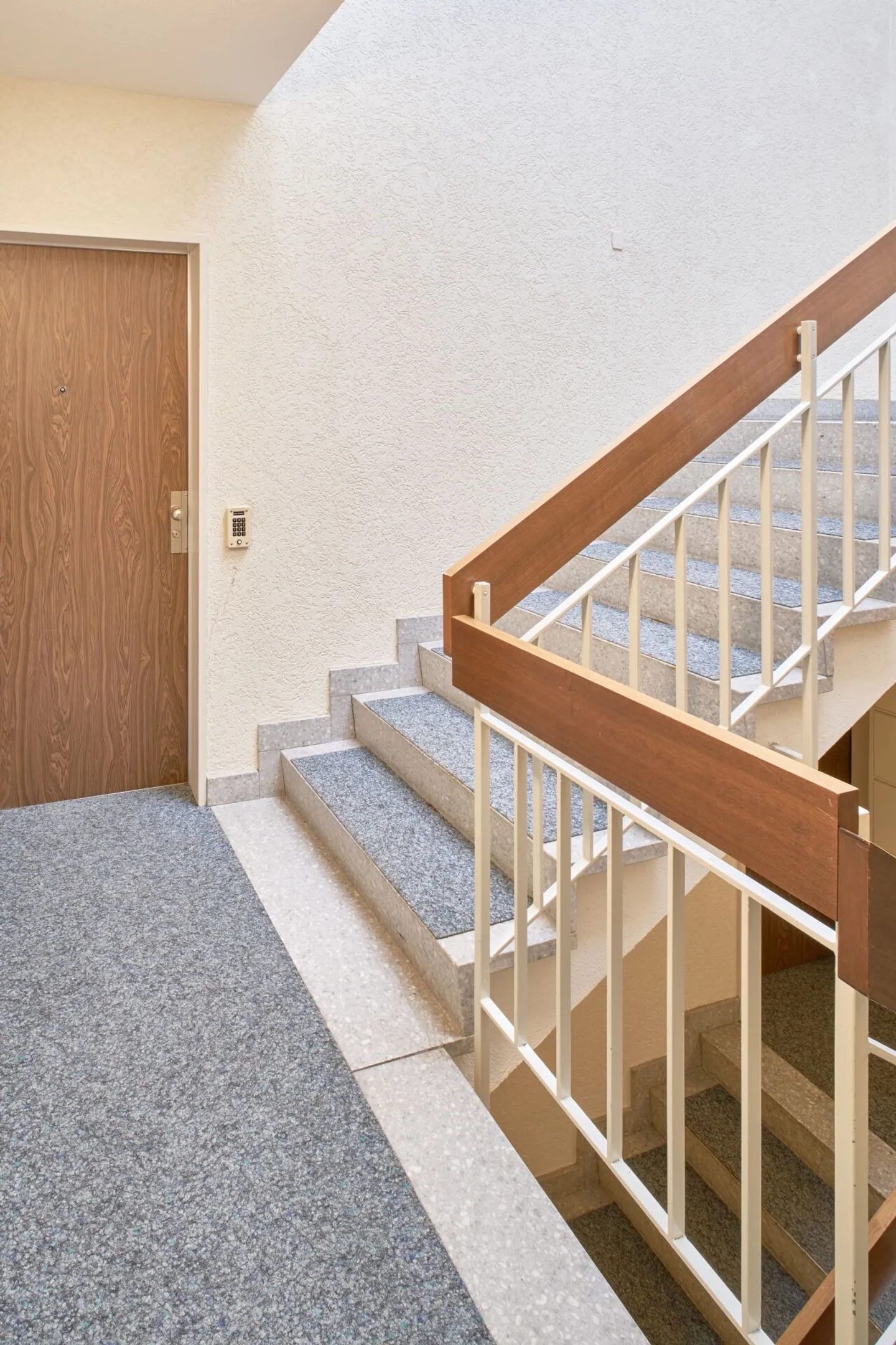 Haut au-dessus de Zurich ! - Photo 5 sur 6