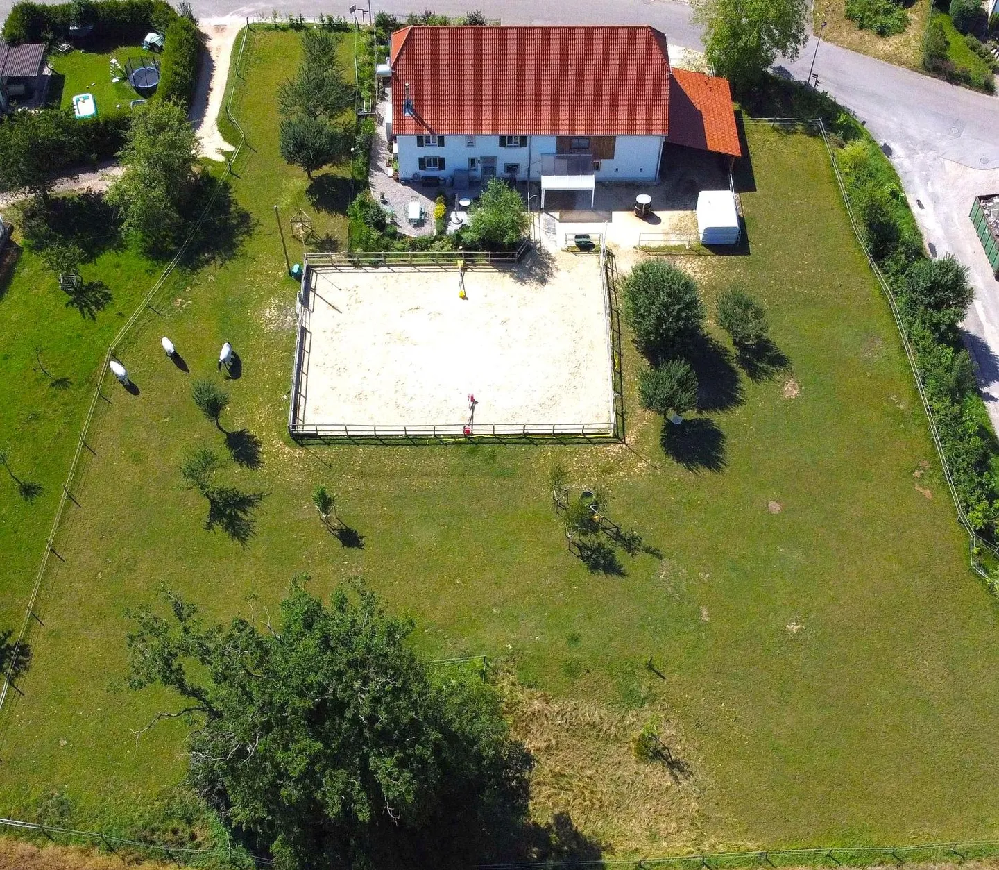 Extraordinary and very rare offer - Beautifully renovated village house on 4,385 m² - Photo 5 of 30