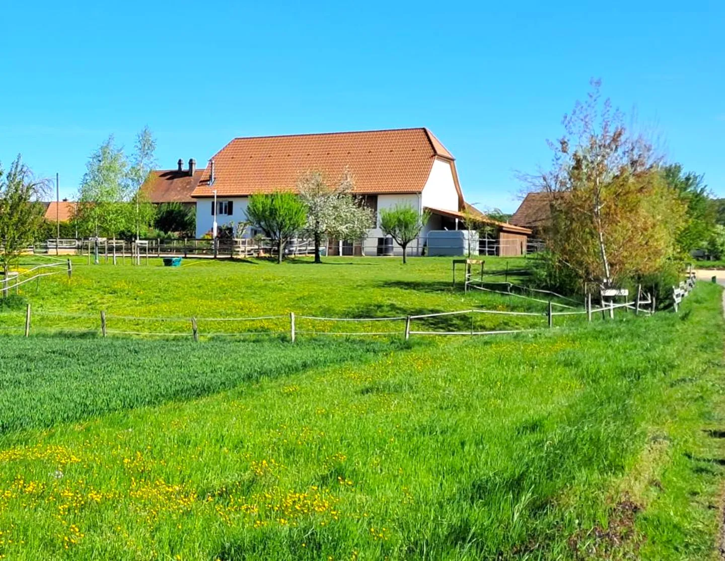Extraordinary and very rare offer - Beautifully renovated village house on 4,385 m² - Photo 2 of 30