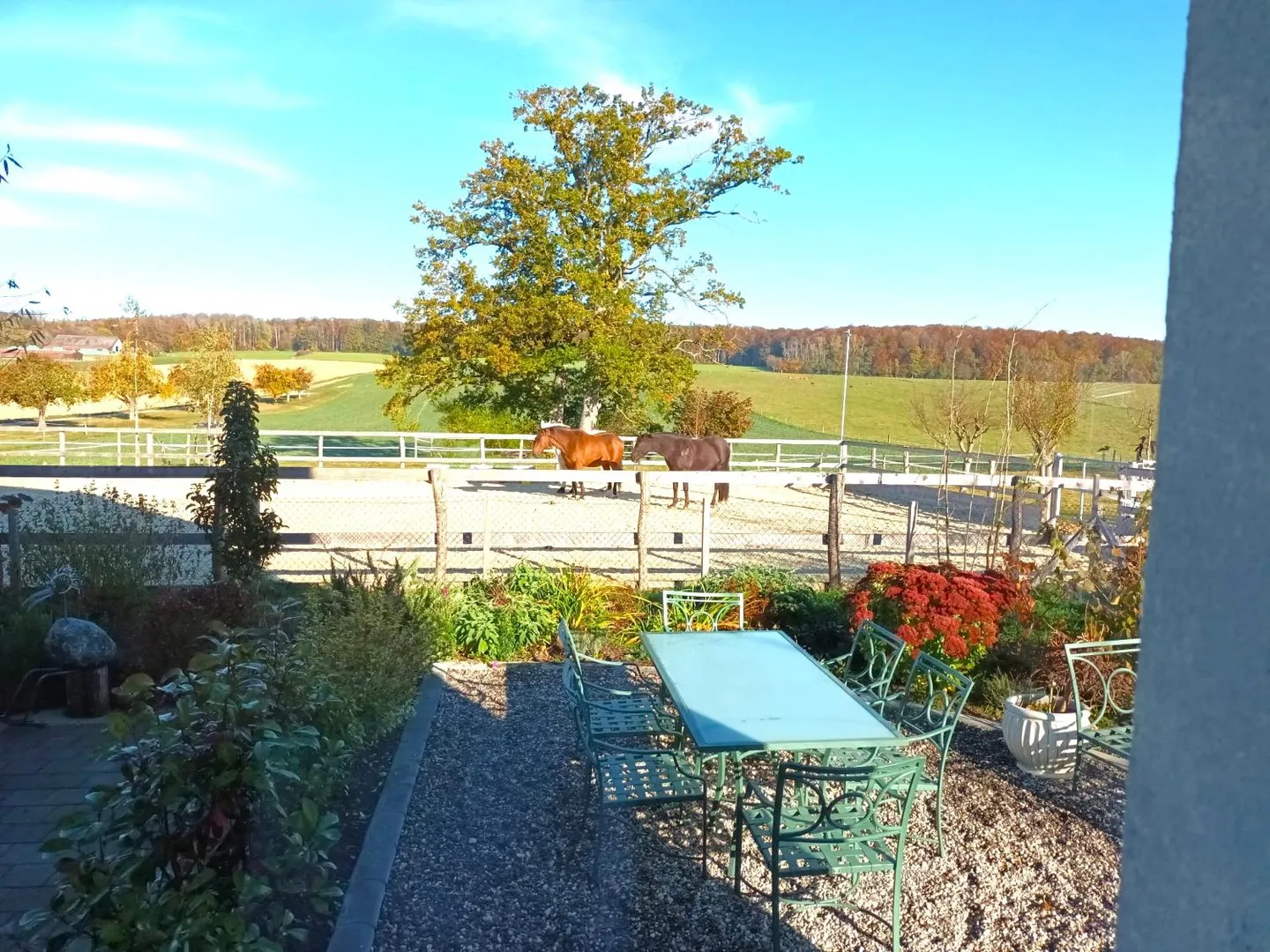 Extraordinary and very rare offer - Beautifully renovated village house on 4,385 m² - Photo 14 of 30