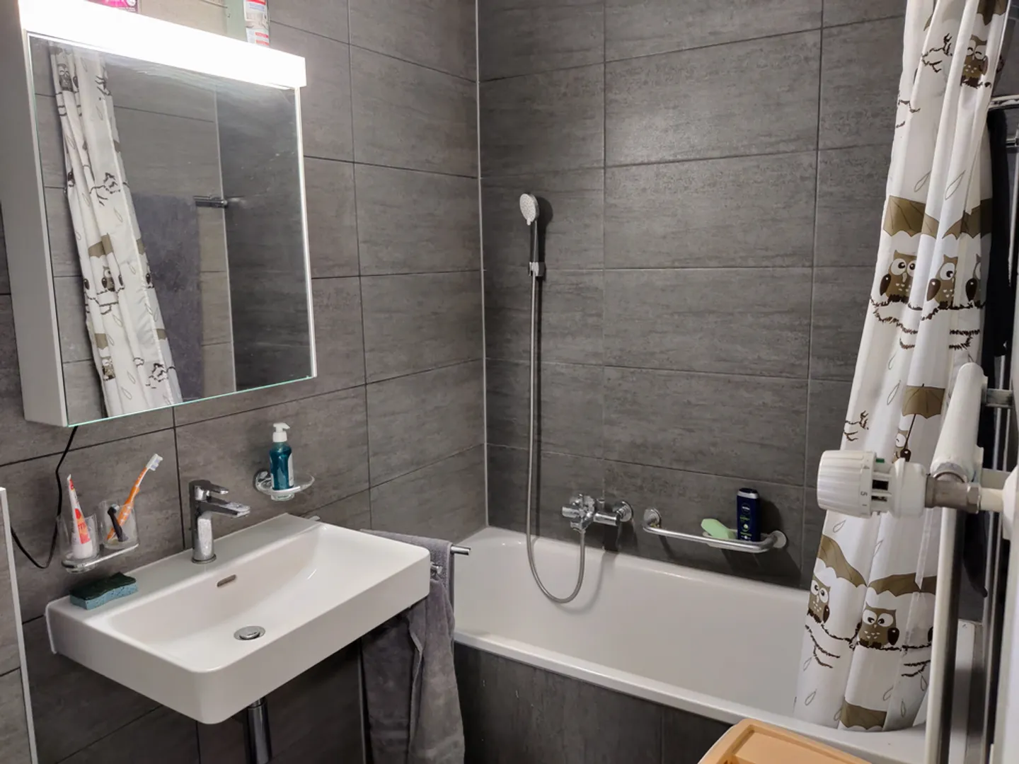 Appartement 2 pièces rénové - Photo 5 sur 5