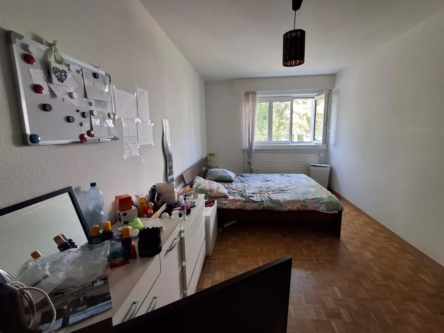 Bright 4.5 Room Apartment - Photo 6 of 7