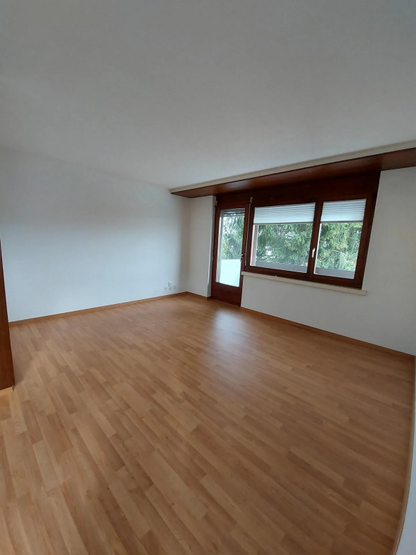 1.5 Zimmer-Wohnung im EG / Hochparterre rechts - Foto 8 von 8