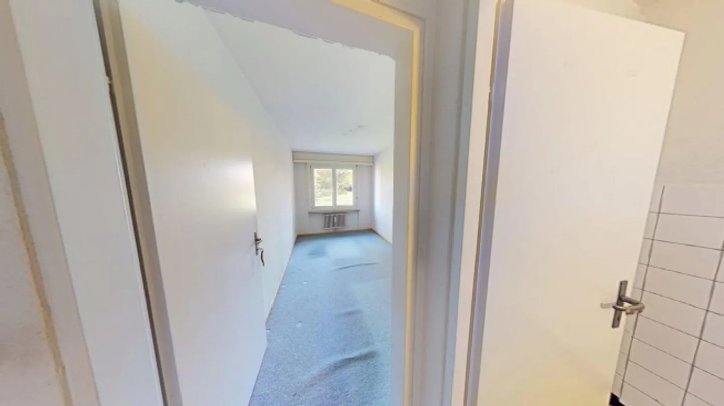 Ampio appartamento di 4 stanze vicino alla città di Basilea - Temporaneo fino al 30 aprile 2026 - Foto 6 di 10