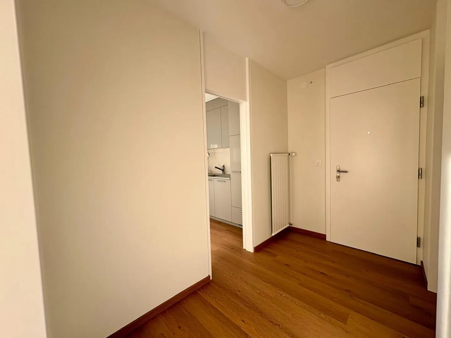 Appartamento molto grande 3.5p completamente ristrutturato - Foto 10 di 14