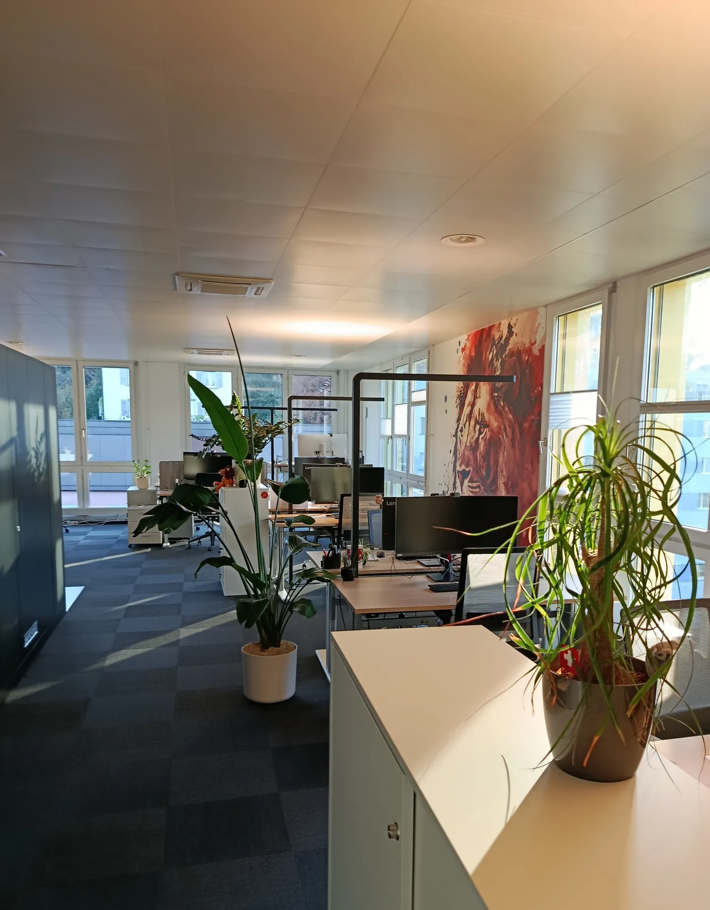 Modernes Büro zu Vermieten - Foto 1 von 2