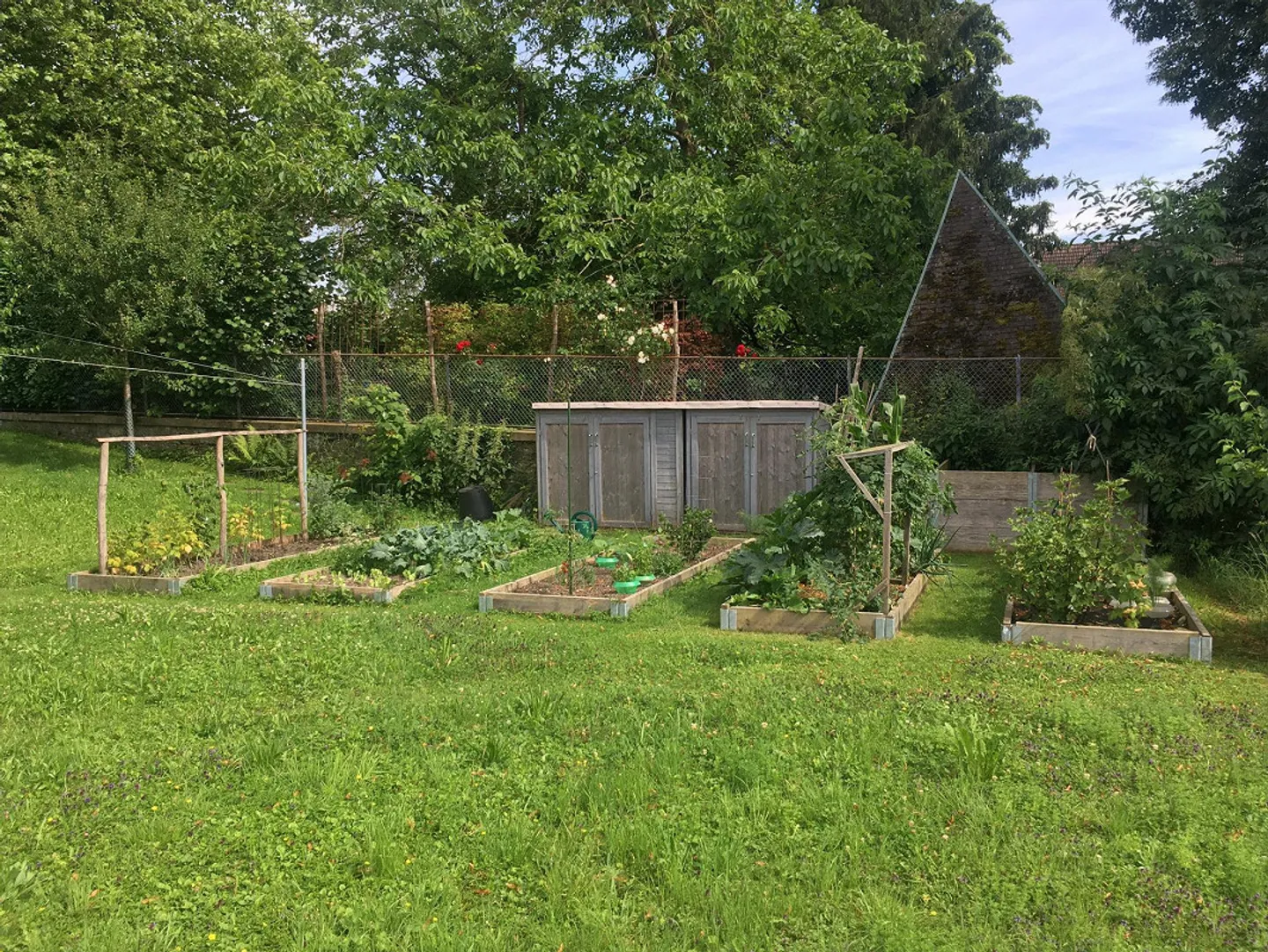 Dans le centre de Seengen au lac de Hallwil - Photo 10 sur 12