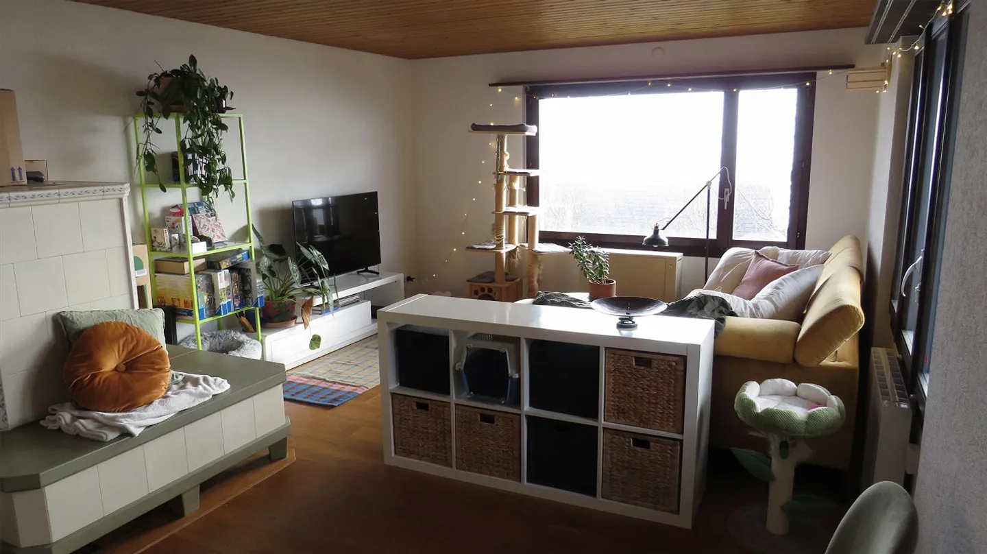 House share near Bern - Photo 5 of 14