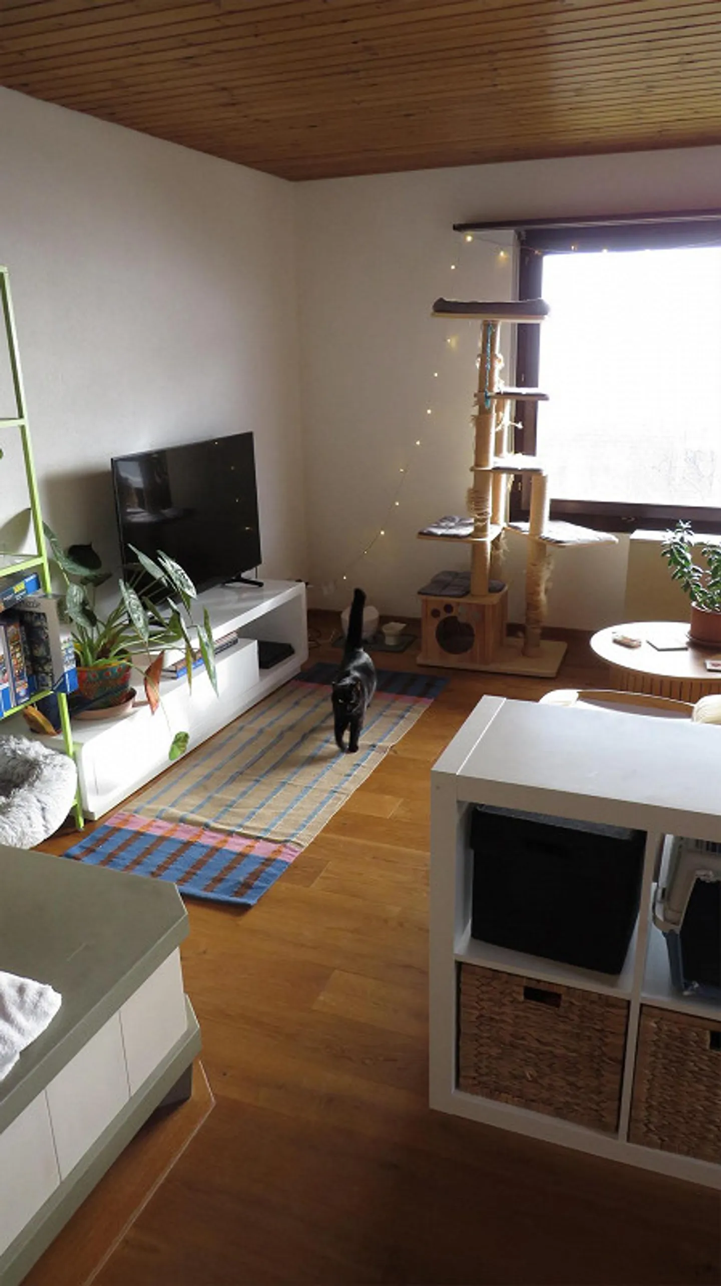 House share near Bern - Photo 7 of 14