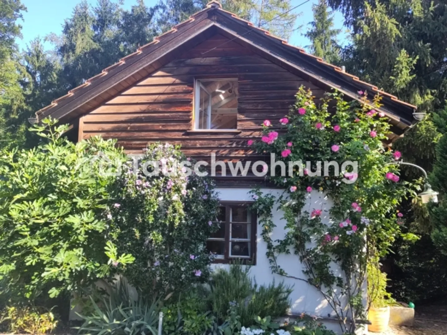 Casa singola in affitto - Foto 1 di 1
