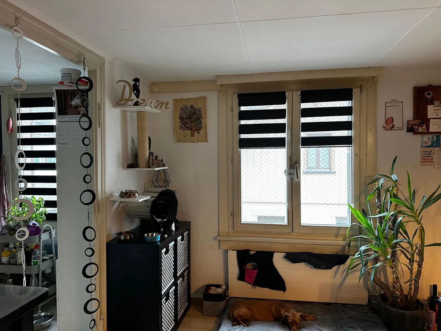 Incantevole appartamento maisonette di 5,5 stanze con grande giardino - Foto 20 di 27