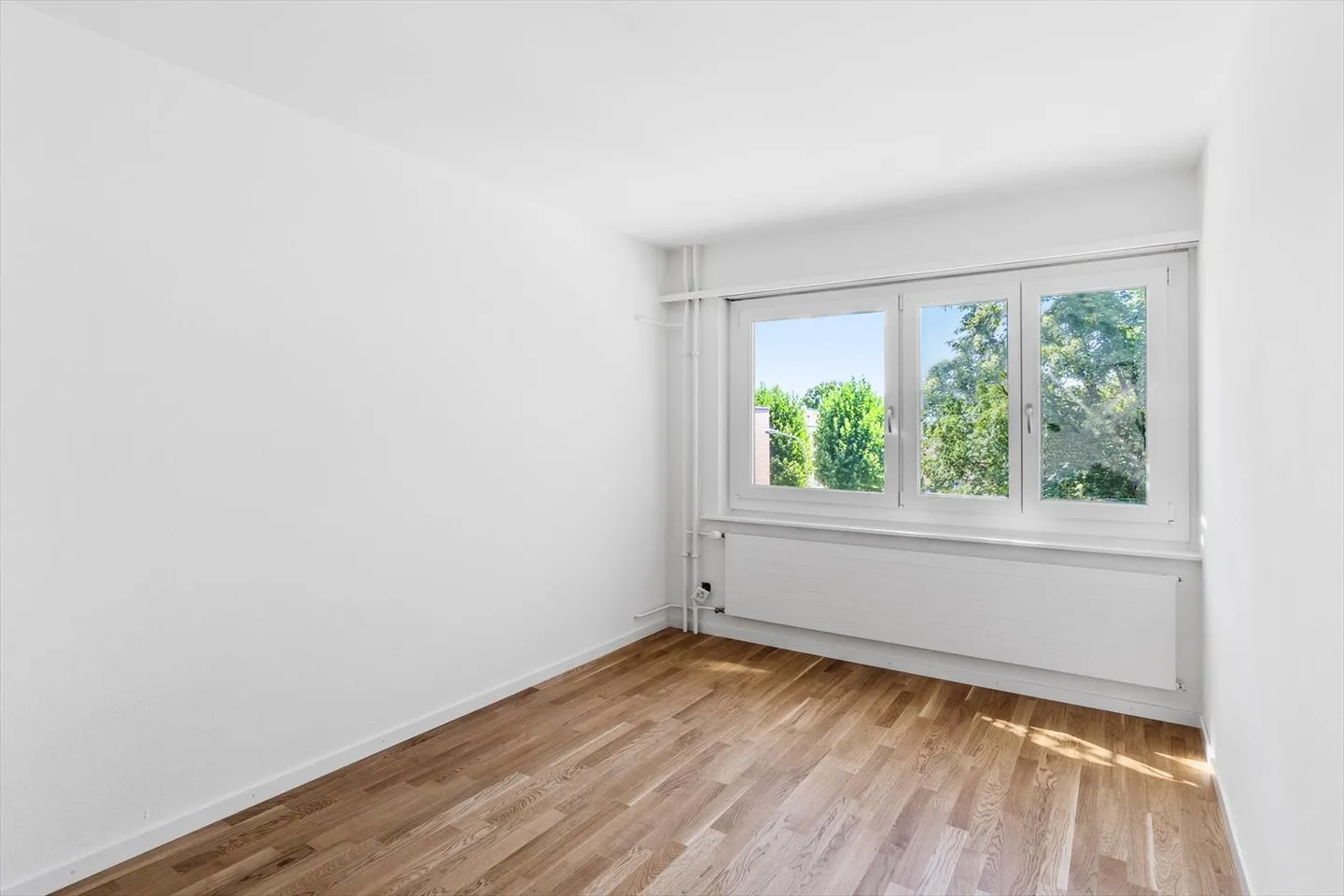 Appartamento in affitto - Foto 4 di 5