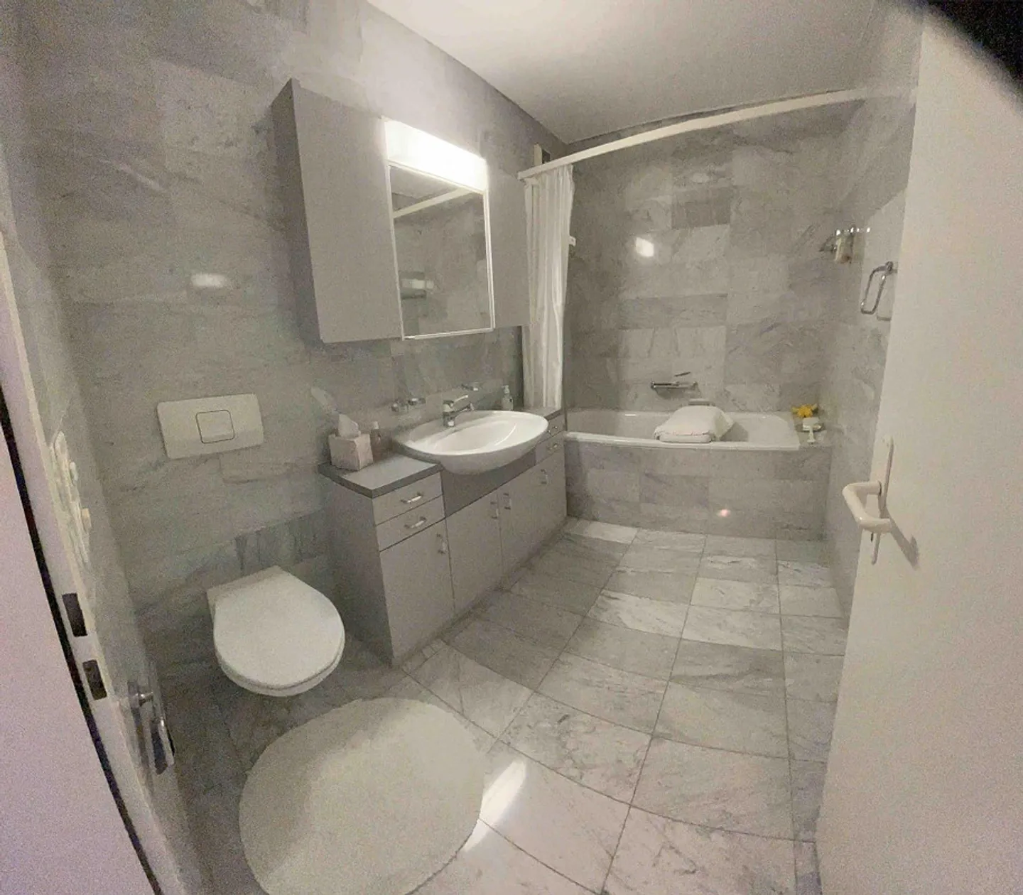 Appartamento affascinante di 2,5 stanze con vista sul lago e sulle montagne - Foto 7 di 11