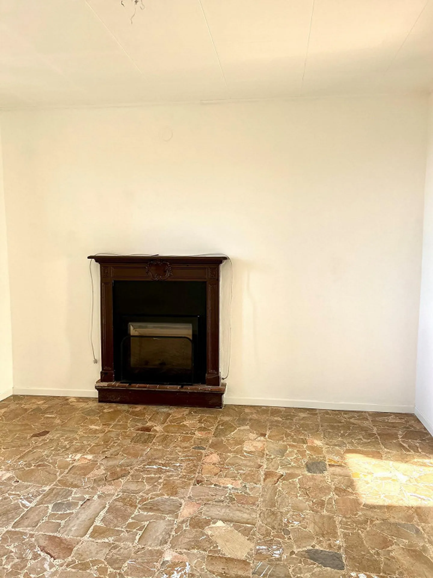 5 1/2 Rooms with Fireplace - Photo 5 of 11