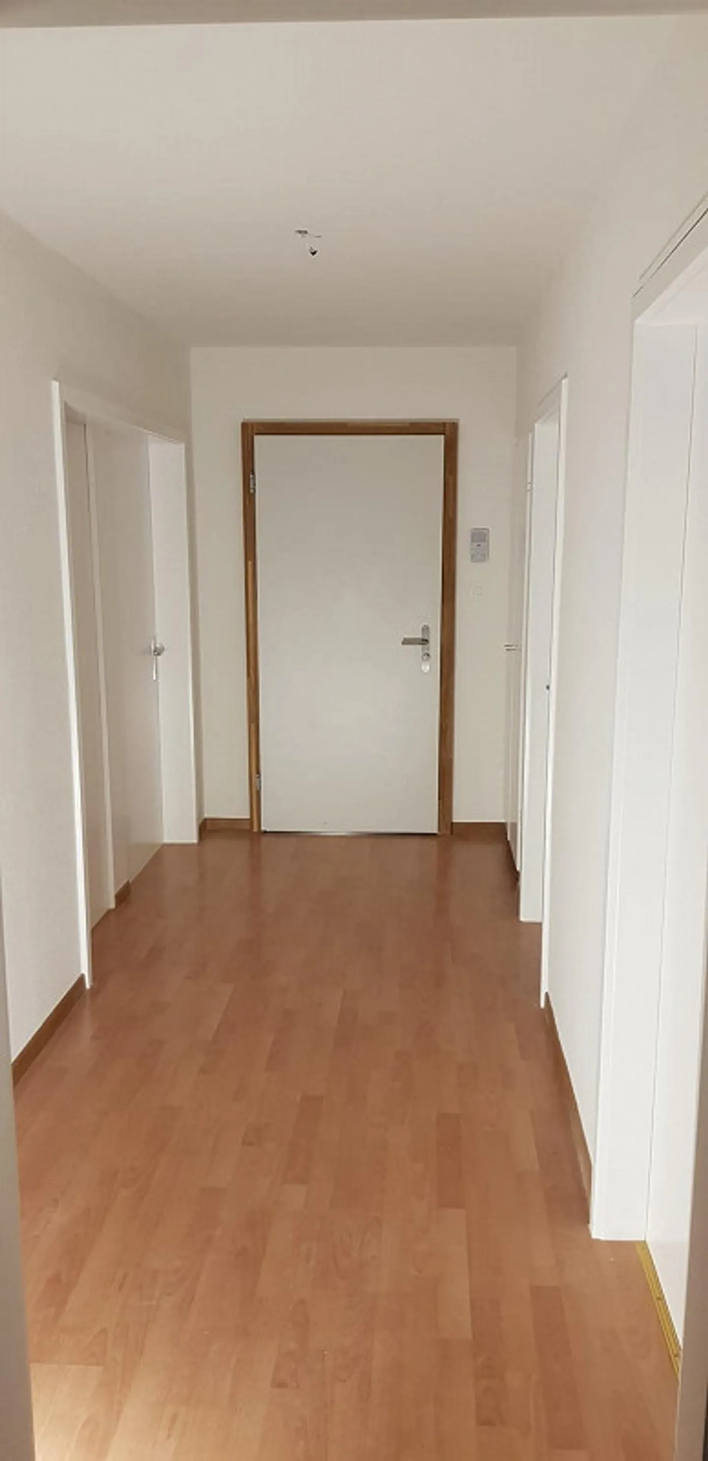 In affitto appartamento 4½ locali - Foto 4 di 8