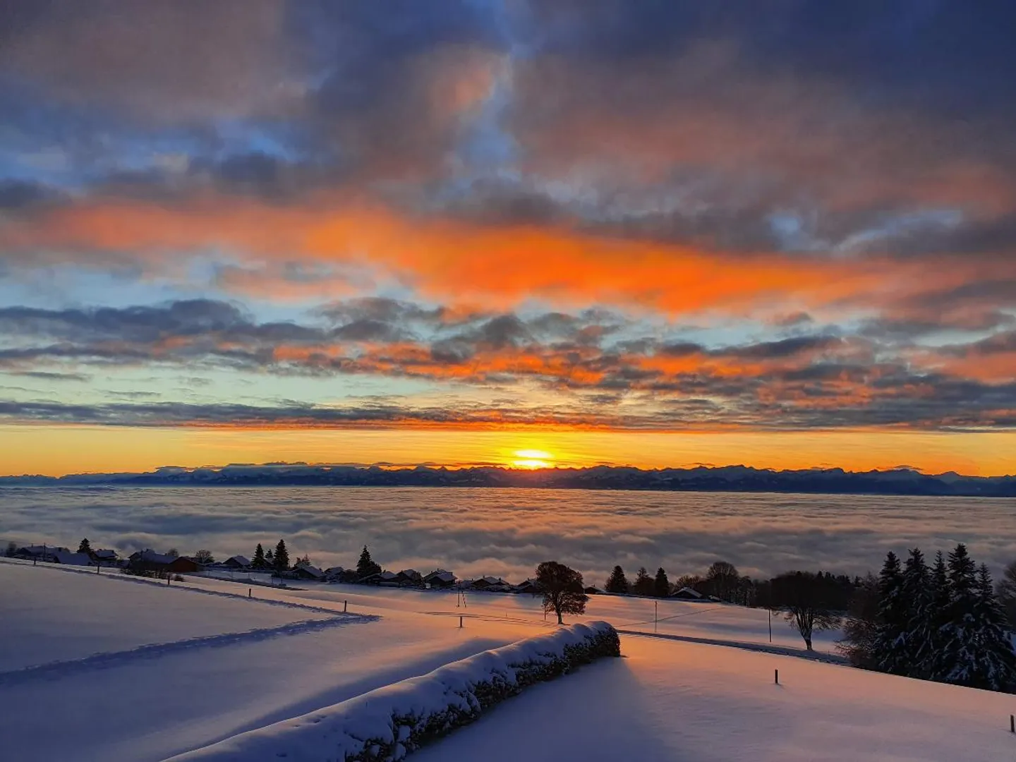 Maison D'exception - Photo 1 sur 1