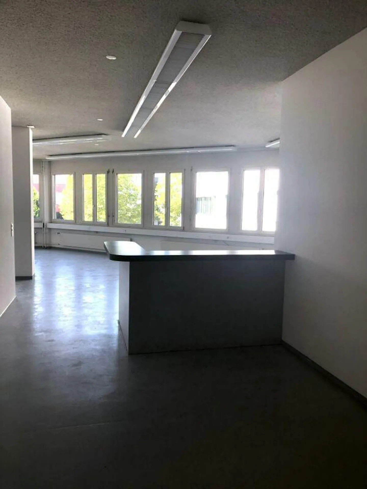 Spazio commerciale flessibile 267 m2 (economico) - Foto 3 di 11