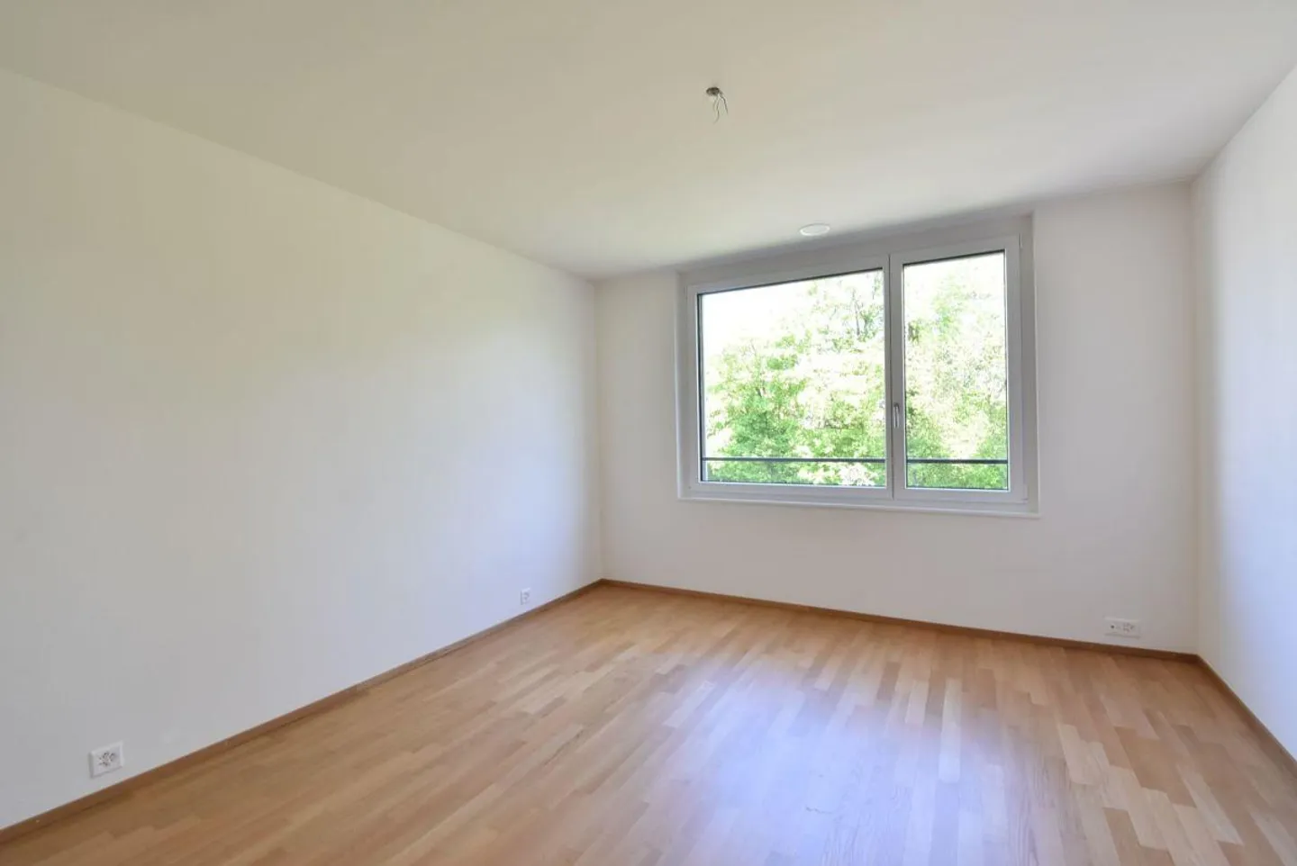 Jewelry with a View of the Green and Alpstein Massif - Photo 8 of 13