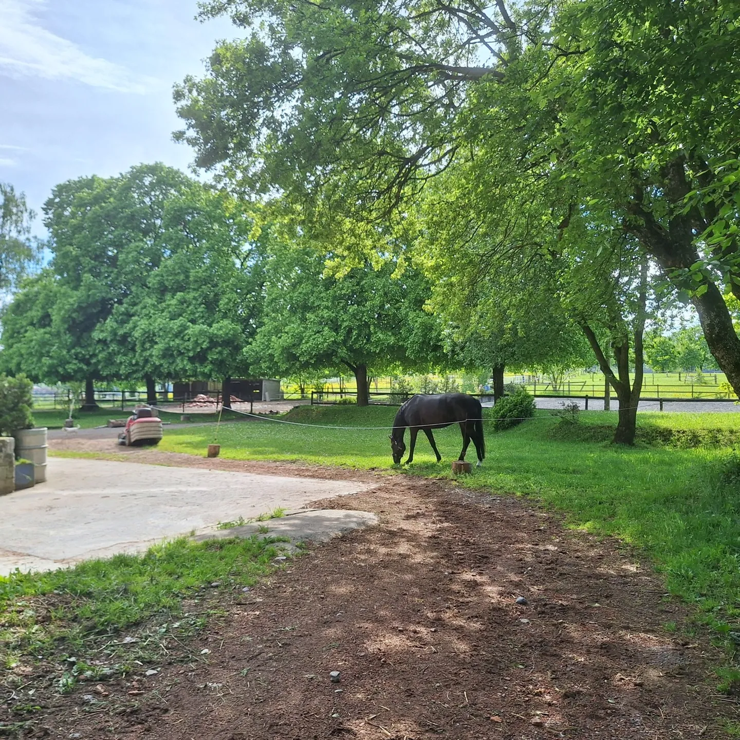 Single house for sale - Photo 22 of 23