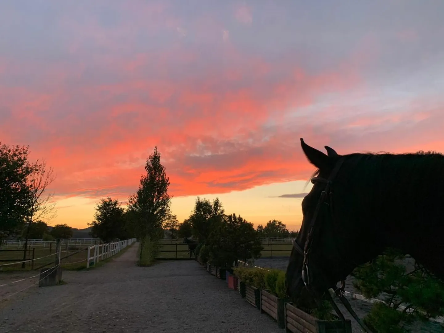 Single house for sale - Photo 23 of 23