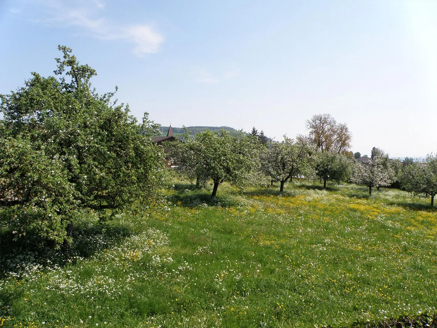 Grosszügiges Einfamilienhaus in ruhigem Wohnquartier - Foto 11 von 11