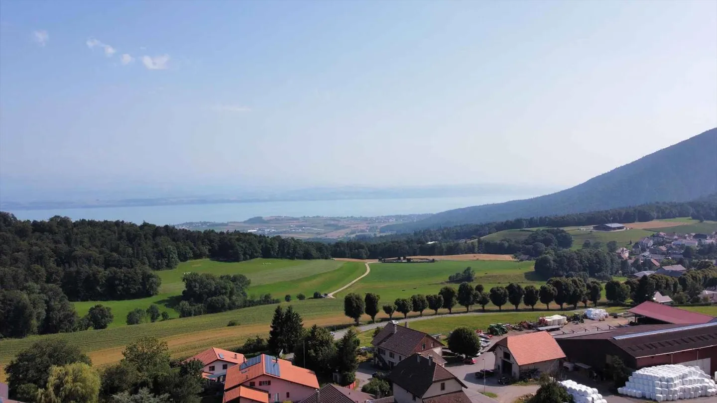 Progetto unico a Rochefort, una proprietà preziosa - Foto 7 di 8