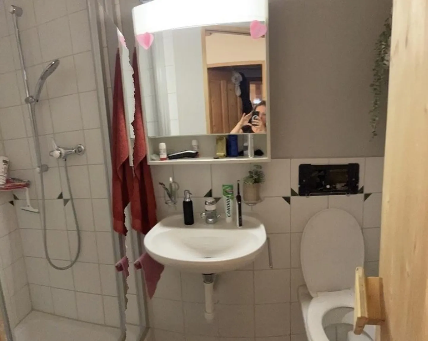 Nella ex fattoria - Foto 4 di 13