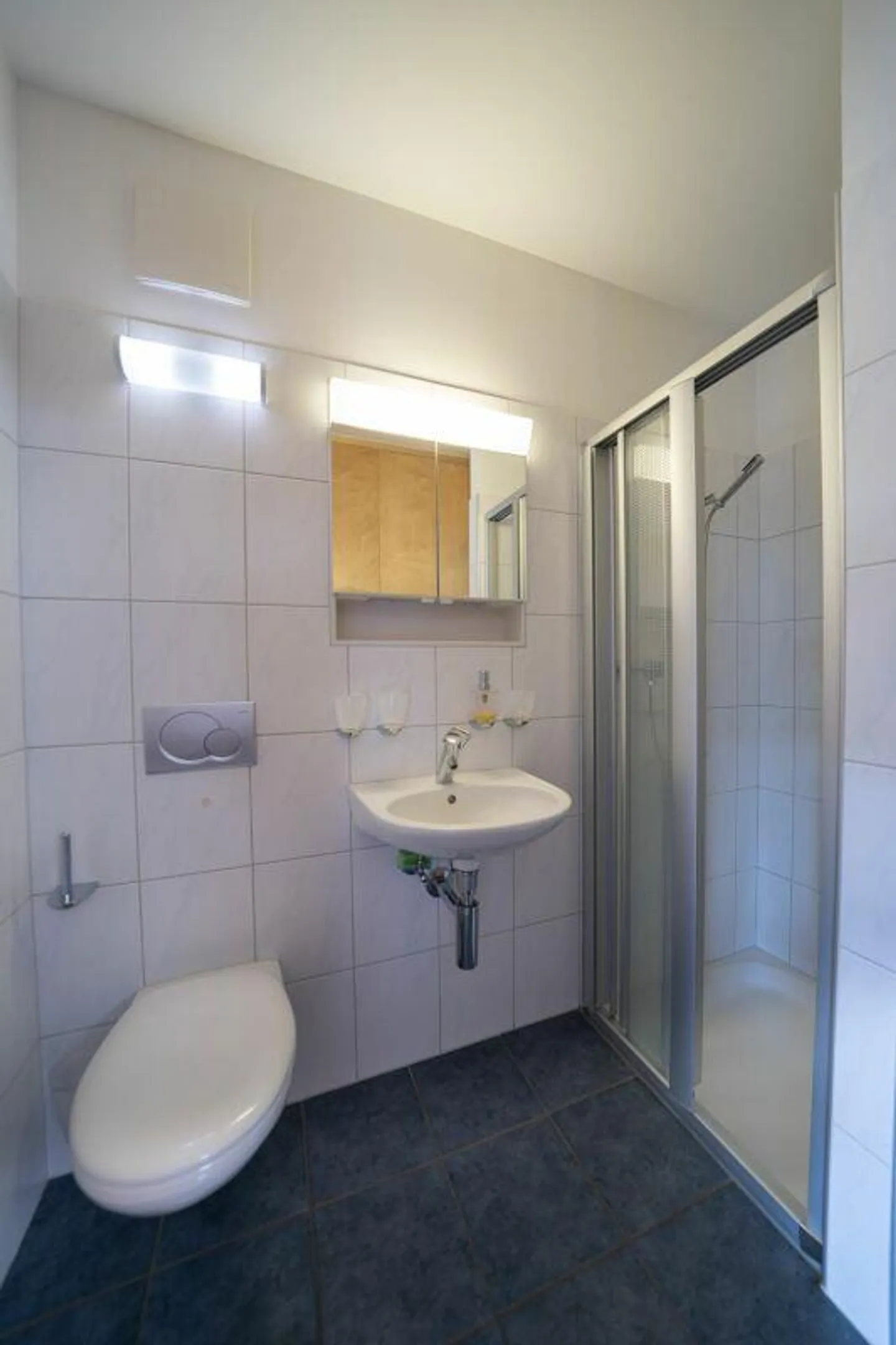 Appartamento soleggiato di 4.5 locali con grande comfort e vicinanza al Reno - Foto 13 di 13