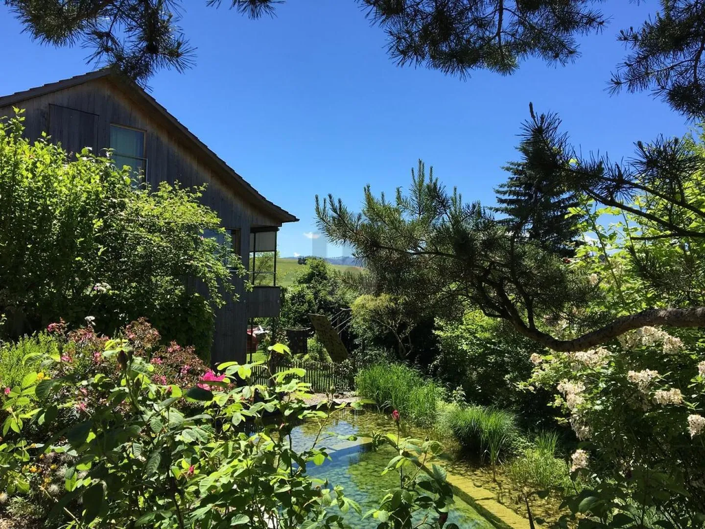 Exclusive and Rustic with Swimming Pond - Photo 2 of 6