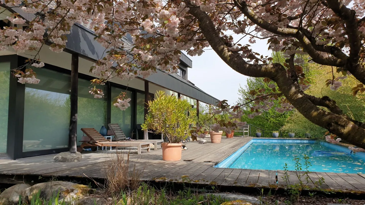 Exclusive property with villa, outbuilding, separate living unit, practice, garage, pool, and much more. - Photo 4 of 34