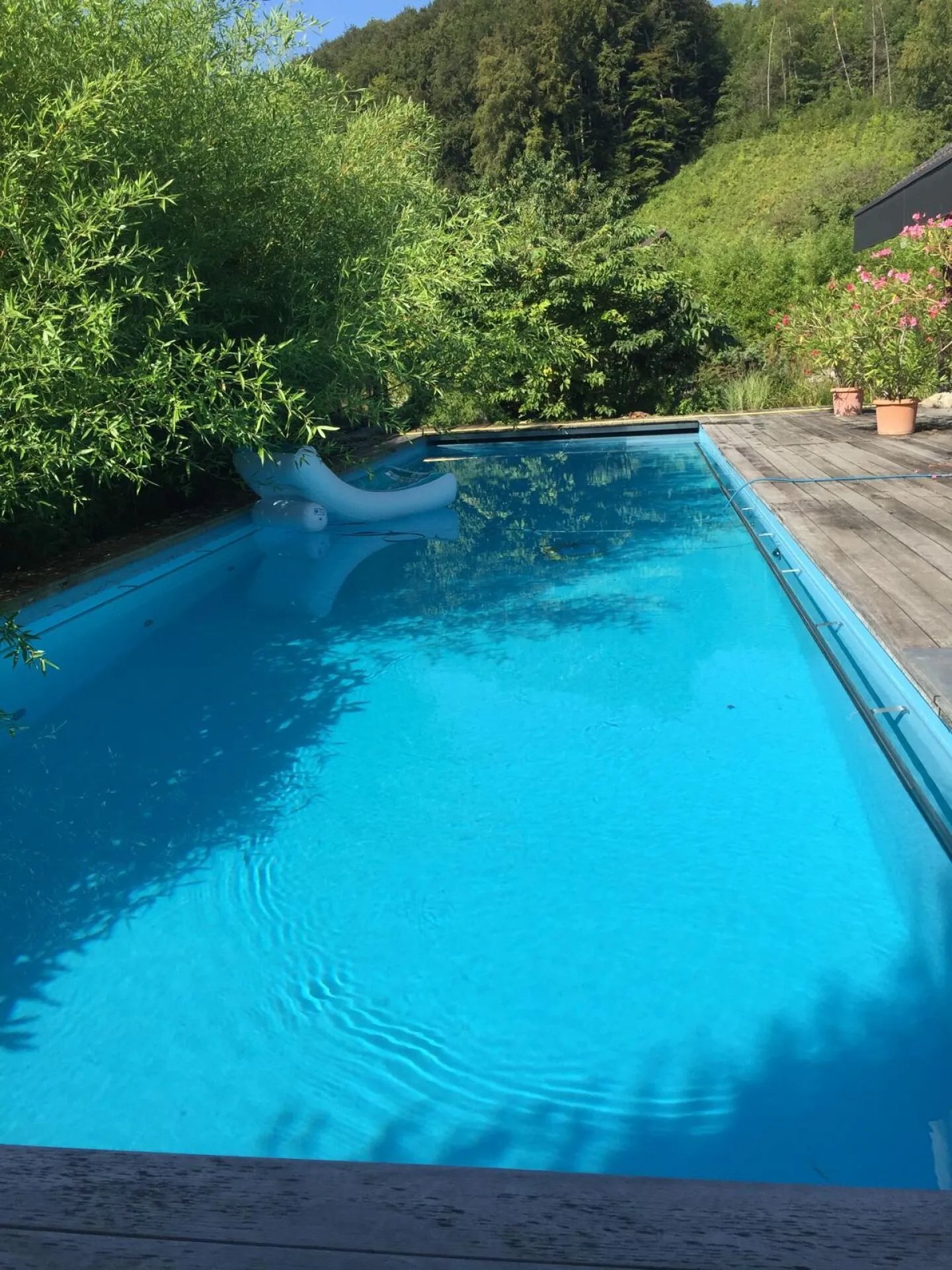 Exclusive property with villa, outbuilding, separate living unit, practice, garage, pool, and much more. - Photo 5 of 34