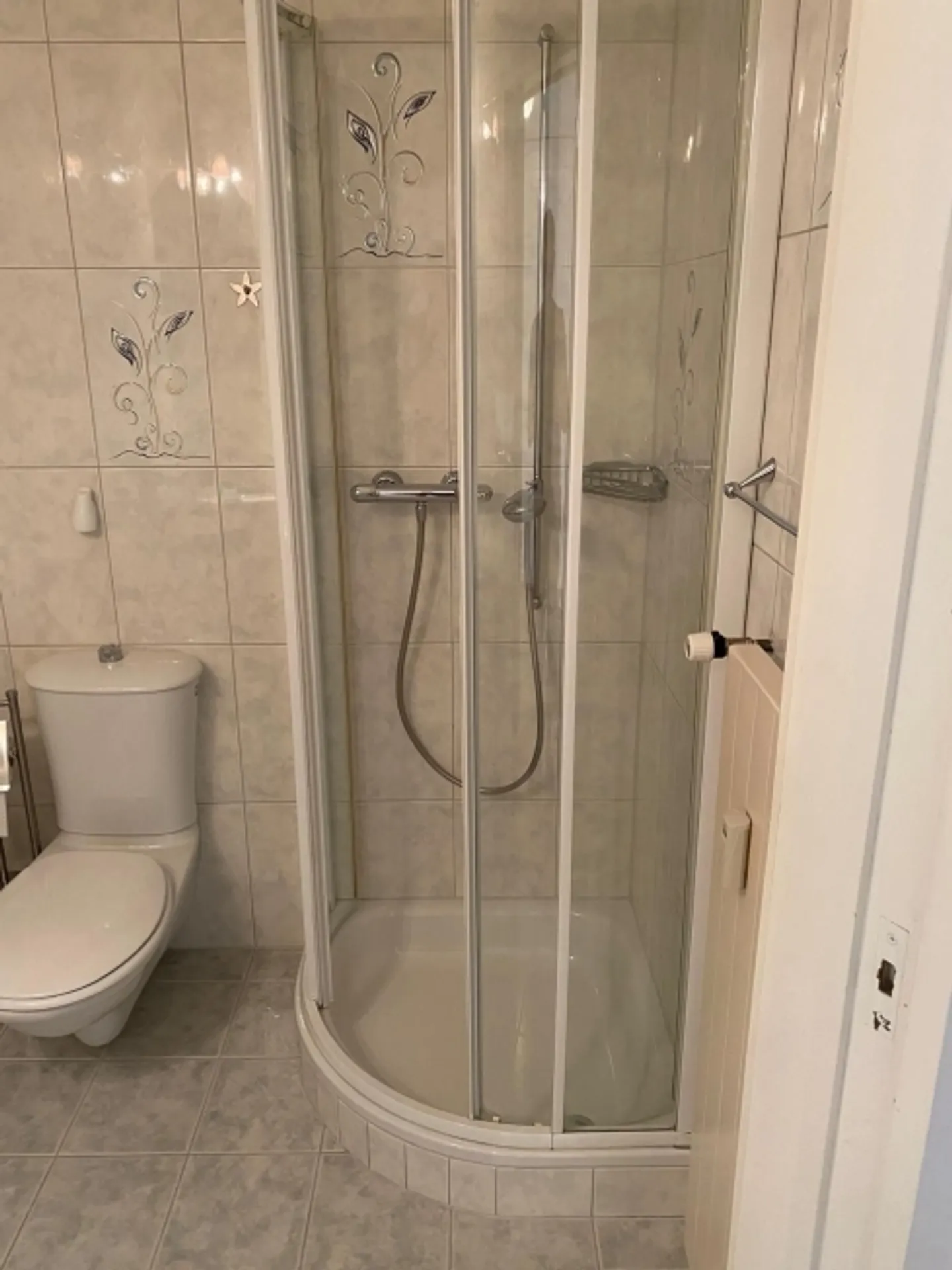 Dreamlike 5.5-Room Apartment with Lake View in Steckborn, Canton TG - Photo 9 of 10