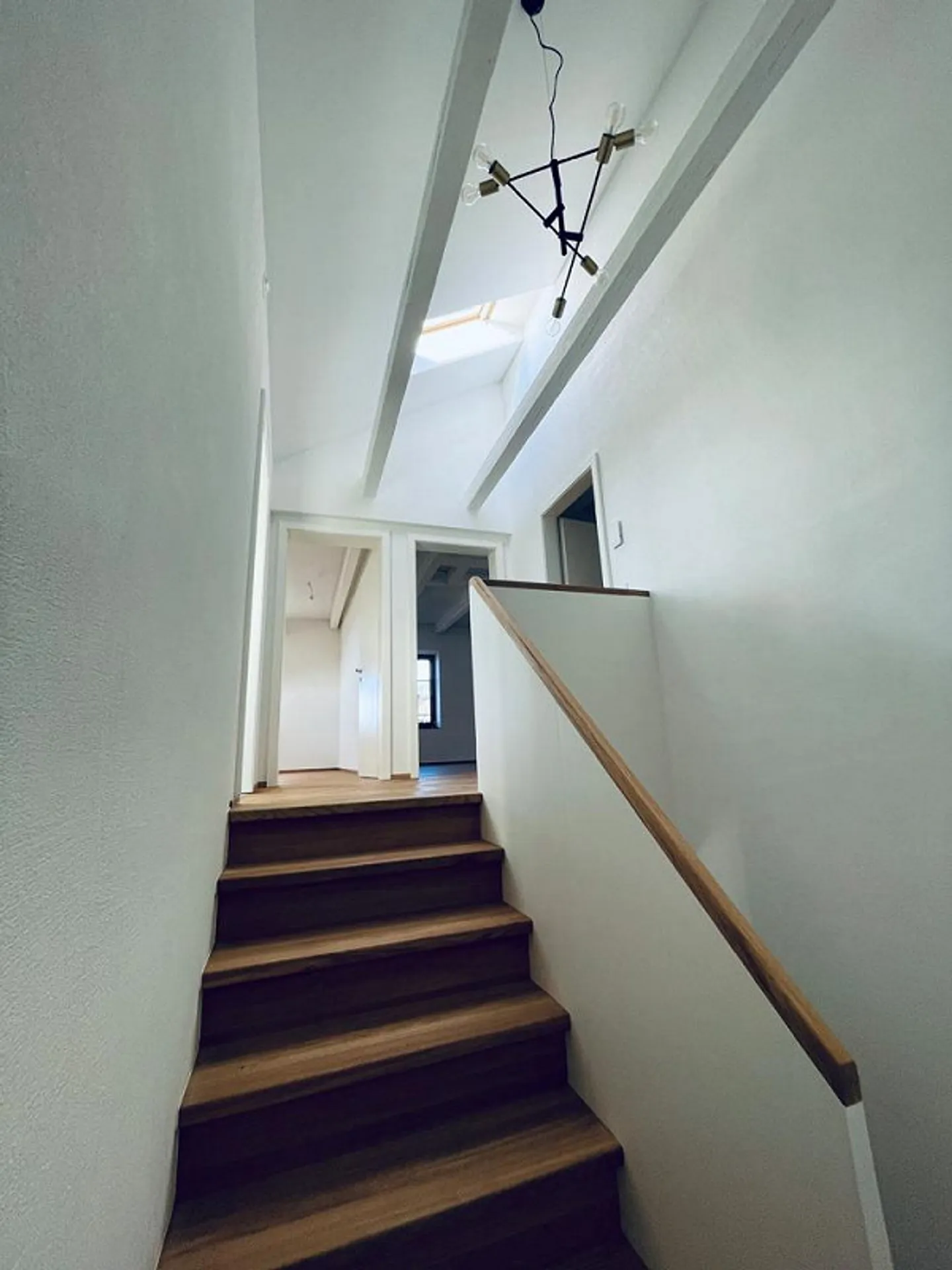 Modern renovated old apartment with a view and garden - Photo 8 of 13