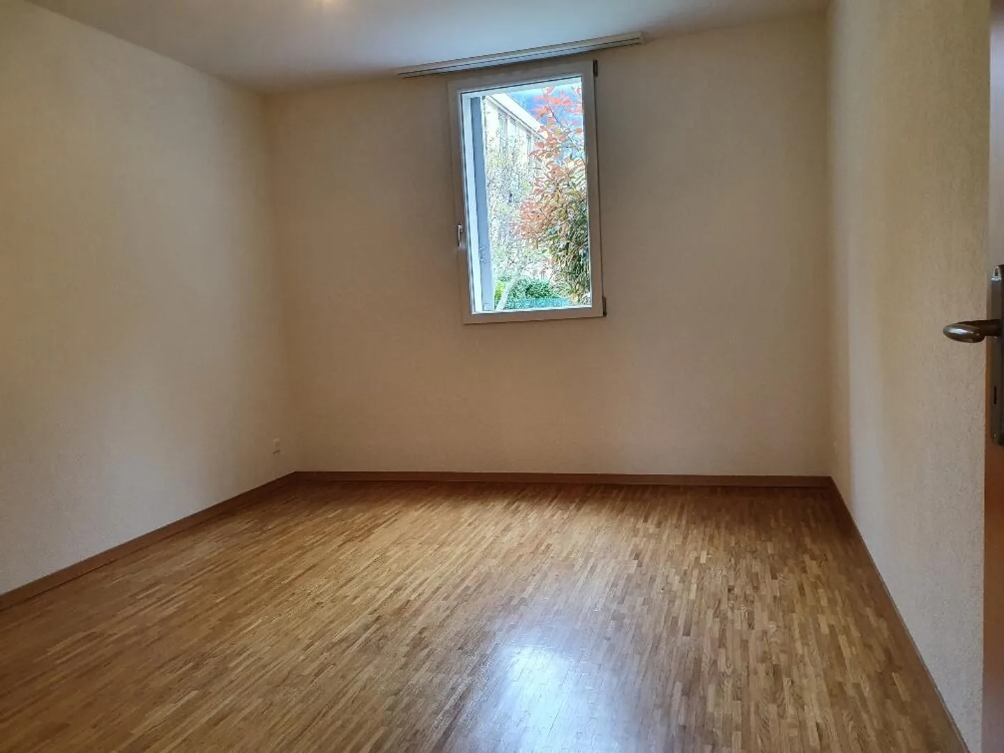 Charming Ground-Floor Apartment - Photo 5 of 6