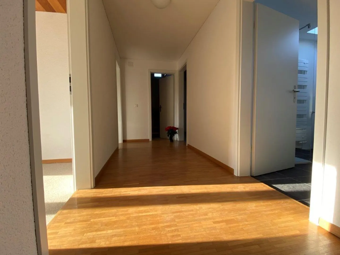 grand appartement en penthouse de 4,5 pièces. 210 m2 incluant 2 terrasses et un grand grenier - Photo 6 sur 14