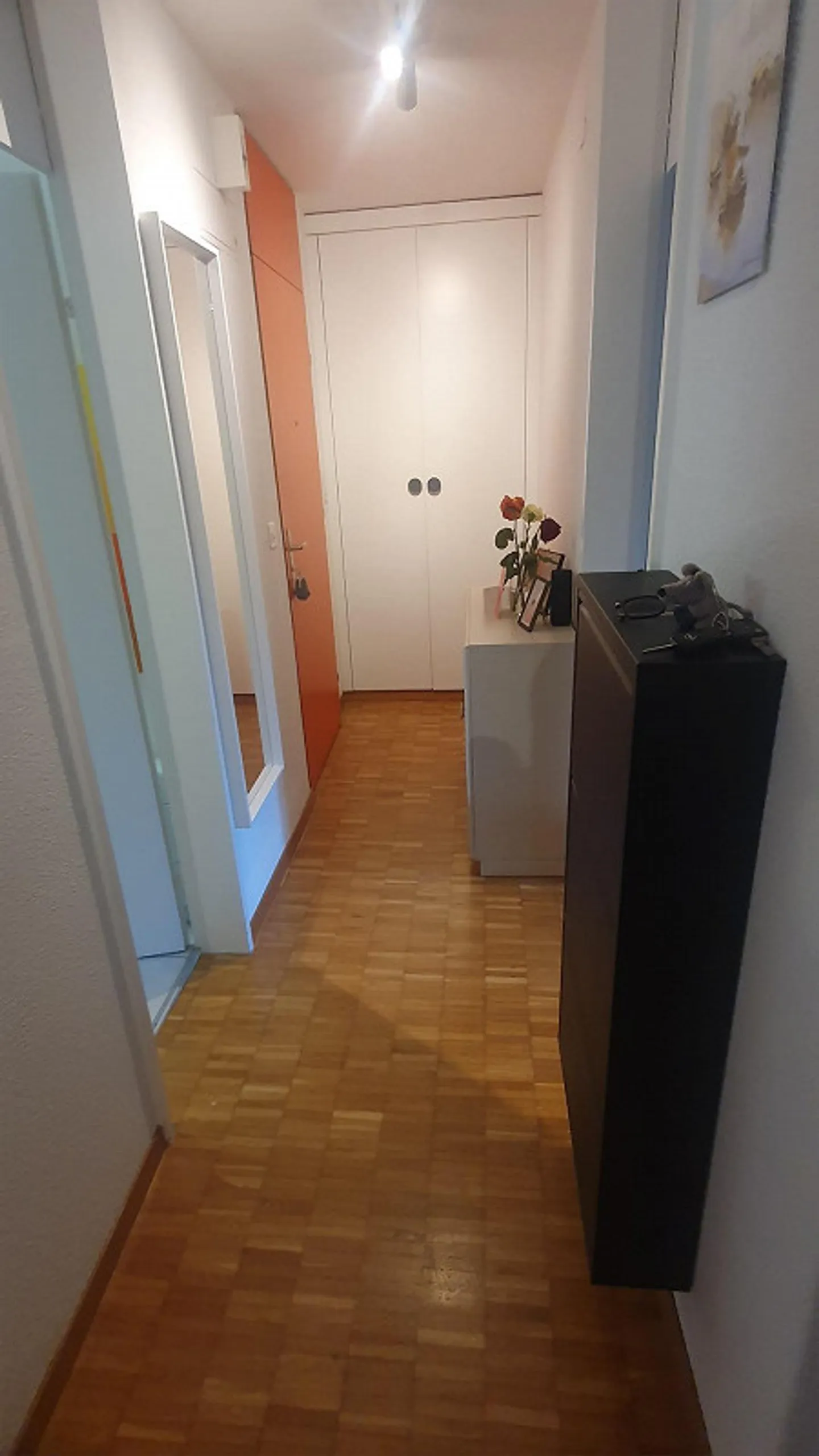 Subaffittuario dal 1.12.25, 2 stanze (53m²), Rapperswil - Foto 4 di 10