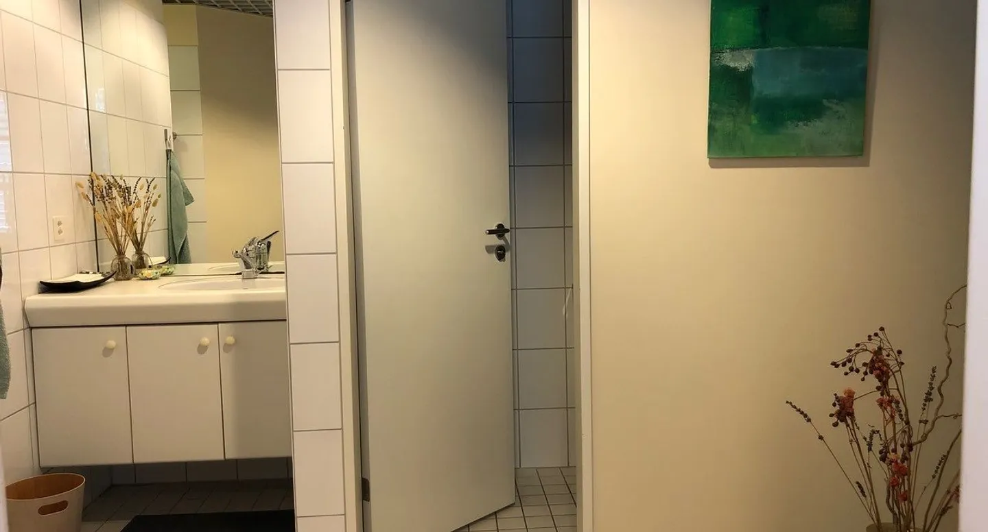 Attraktive Studiofläche im Zentrum von Rapperswil - Foto 8 von 9