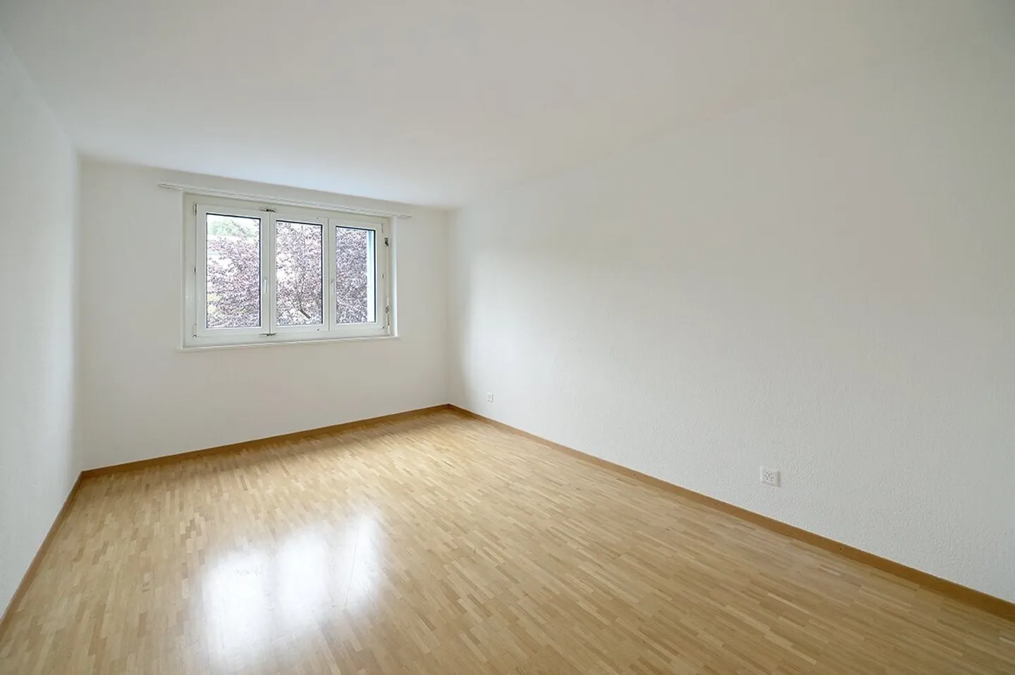 Charming 3-room apartment on the ground floor - Photo 5 of 7