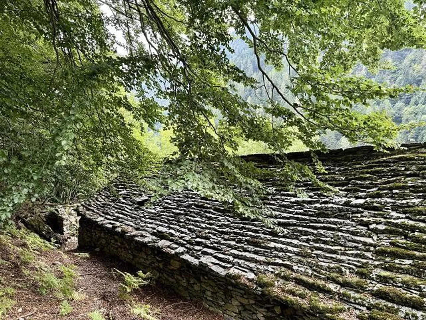 Casa singola in affitto - Foto 6 di 18