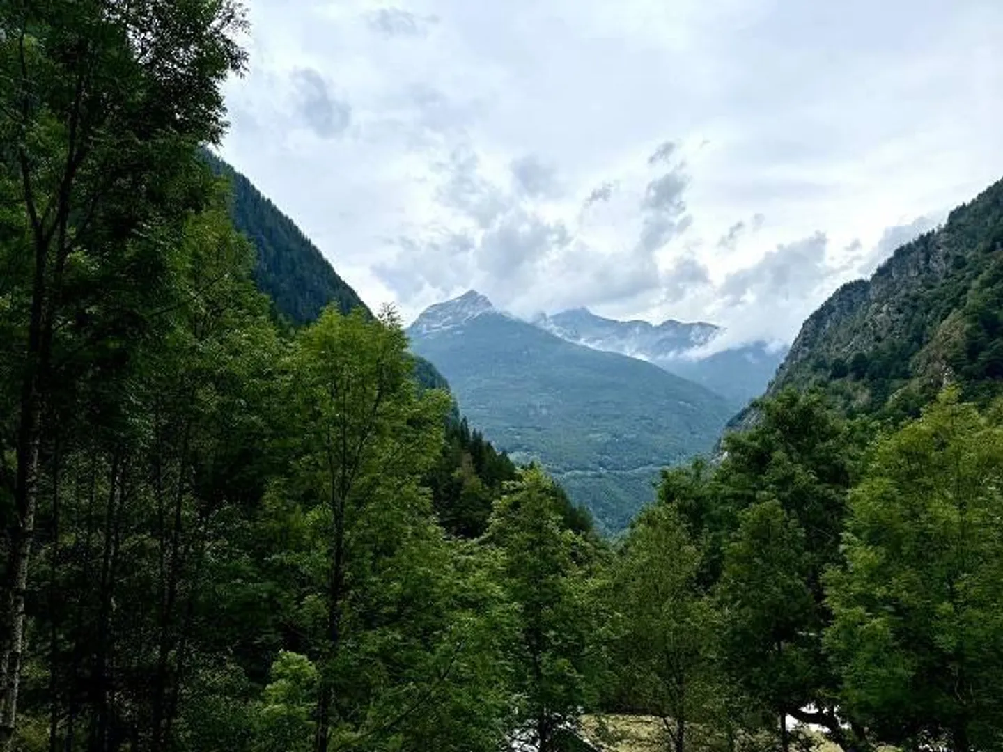 Casa singola in affitto - Foto 8 di 18