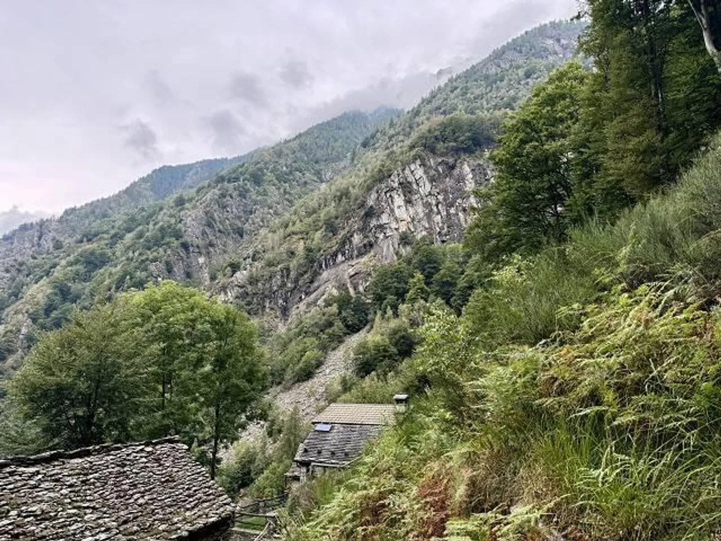 Casa singola in affitto - Foto 11 di 18